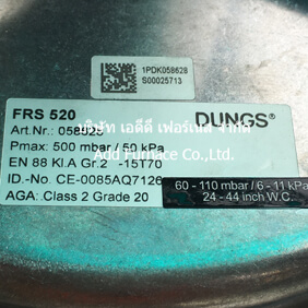 FRS 520 DUNGS